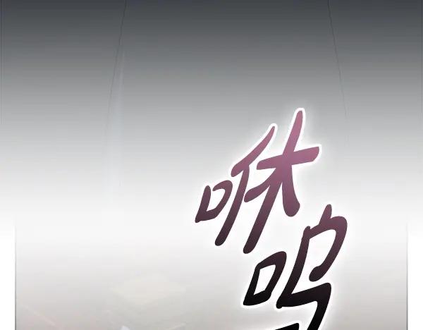203.jpg
