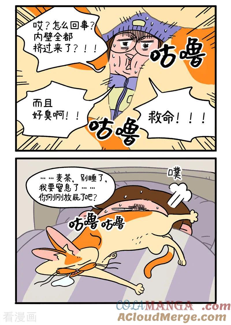 第11话2感冒-阿满和麦茶-新漫画 日胖大海寺（第4张）
