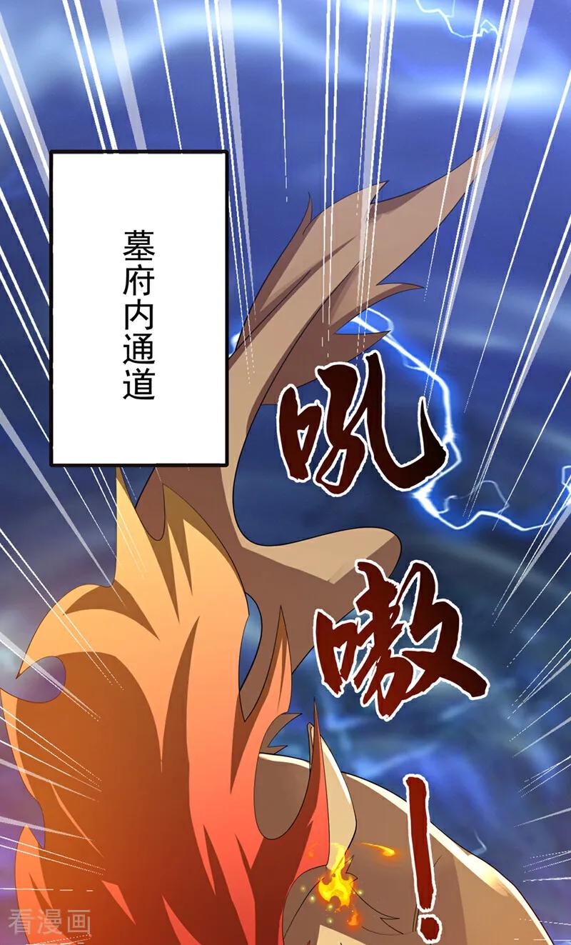 第482话仙组织的目标-武逆-iCiyuan动漫（第3张）