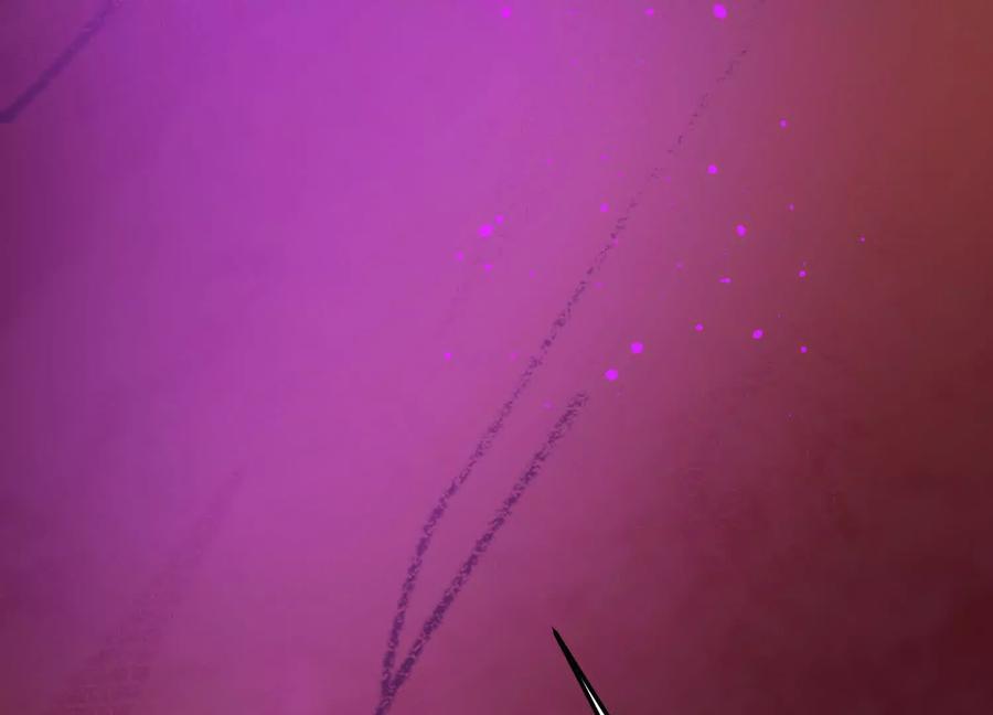 164.jpg