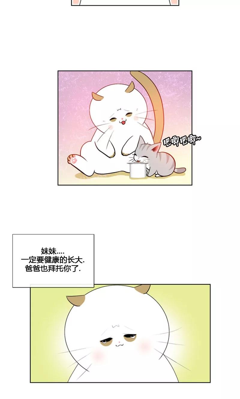 第84话-ICE-Cold要员的捡猫事件-漫拍拍 金耶琳 张流拉（第8张）