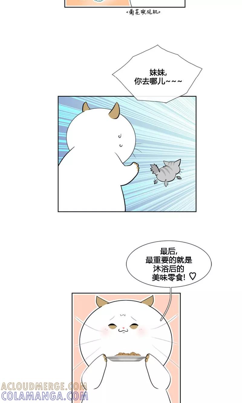 第84话-ICE-Cold要员的捡猫事件-漫拍拍 金耶琳 张流拉（第7张）