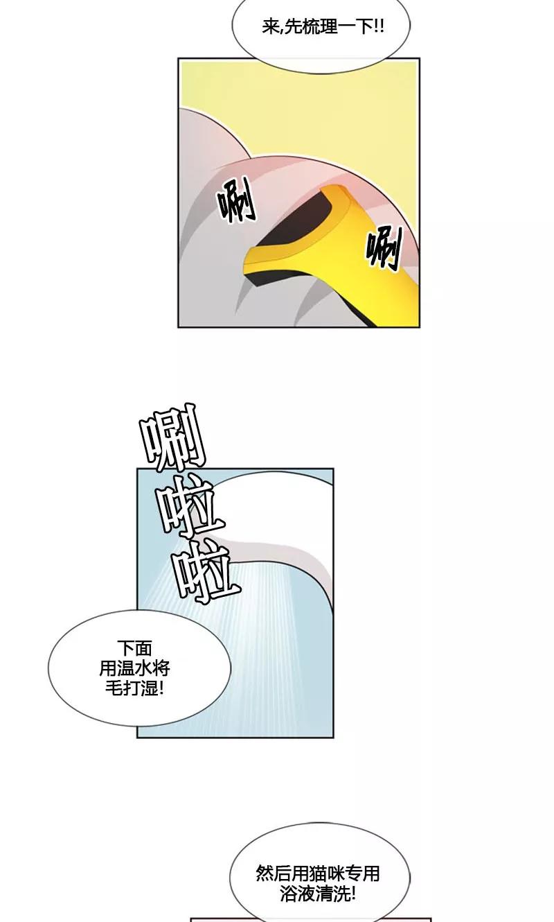 第84话-ICE-Cold要员的捡猫事件-漫拍拍 金耶琳 张流拉（第4张）