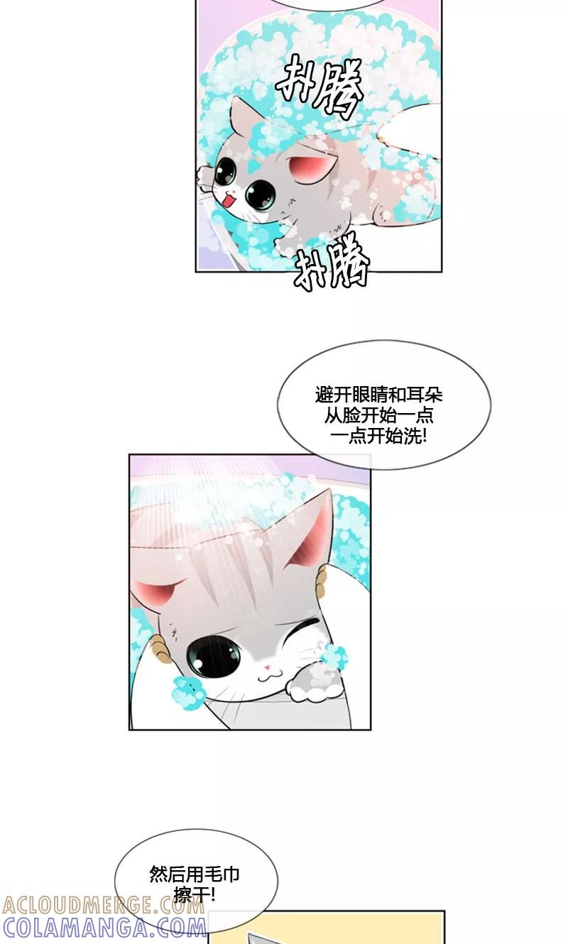 第84话-ICE-Cold要员的捡猫事件-漫拍拍 金耶琳 张流拉（第5张）
