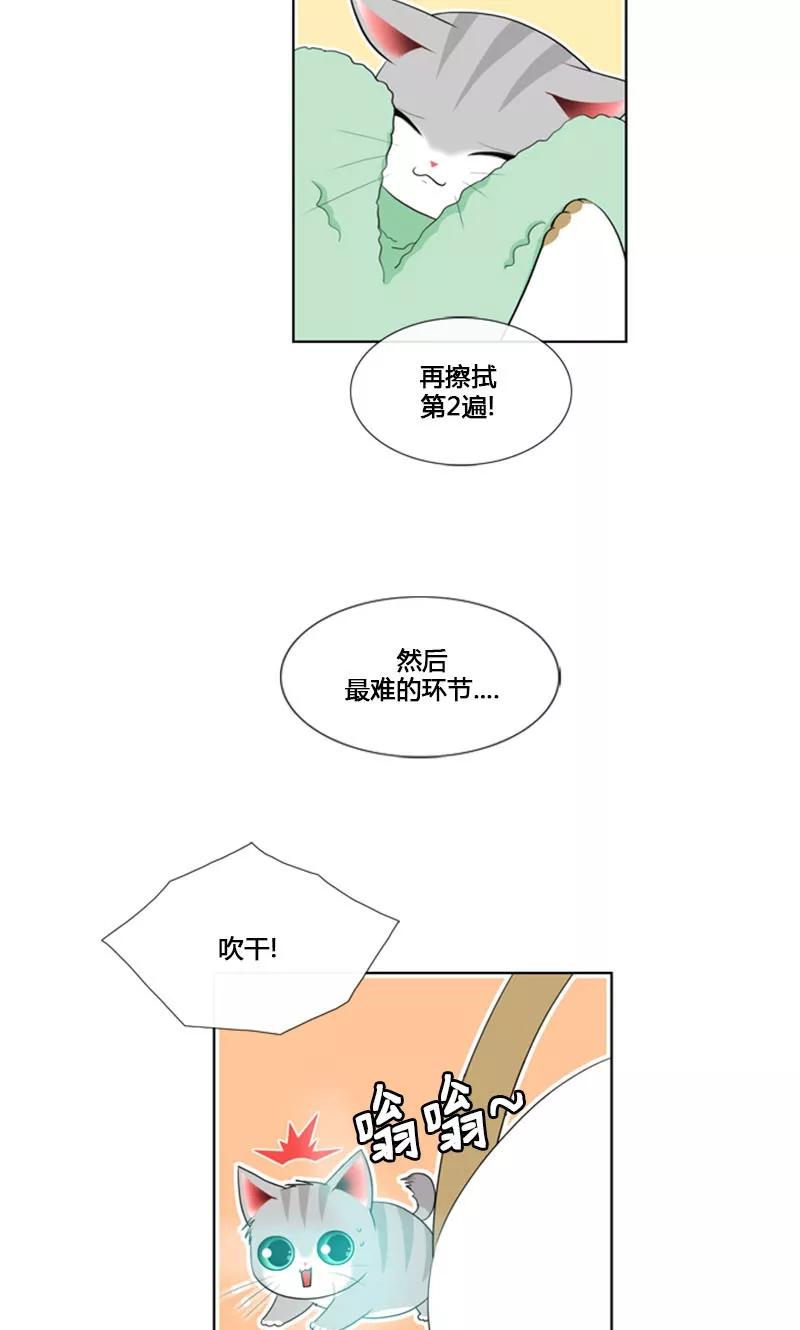第84话-ICE-Cold要员的捡猫事件-漫拍拍 金耶琳 张流拉（第6张）