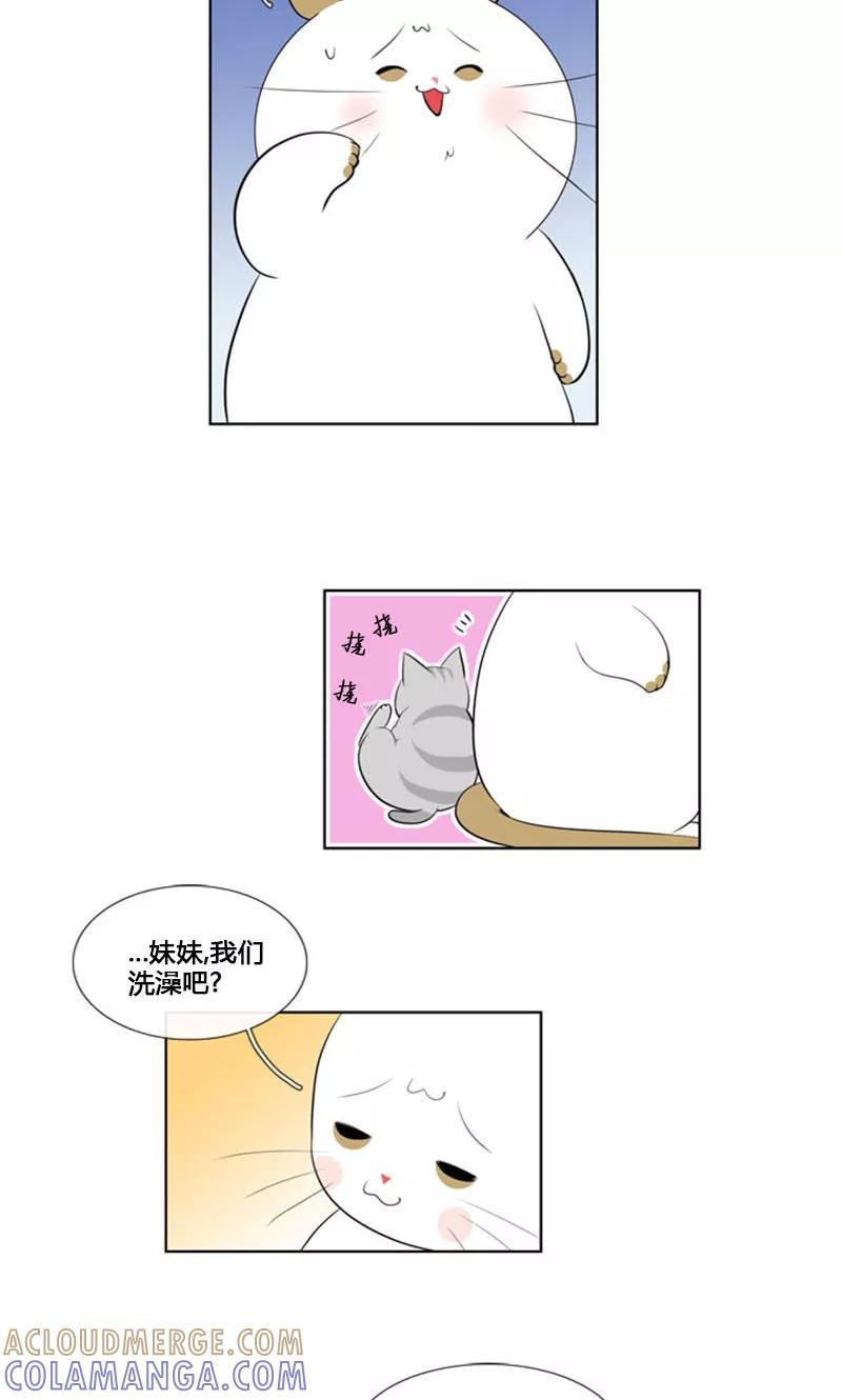 第84话-ICE-Cold要员的捡猫事件-漫拍拍 金耶琳 张流拉（第3张）