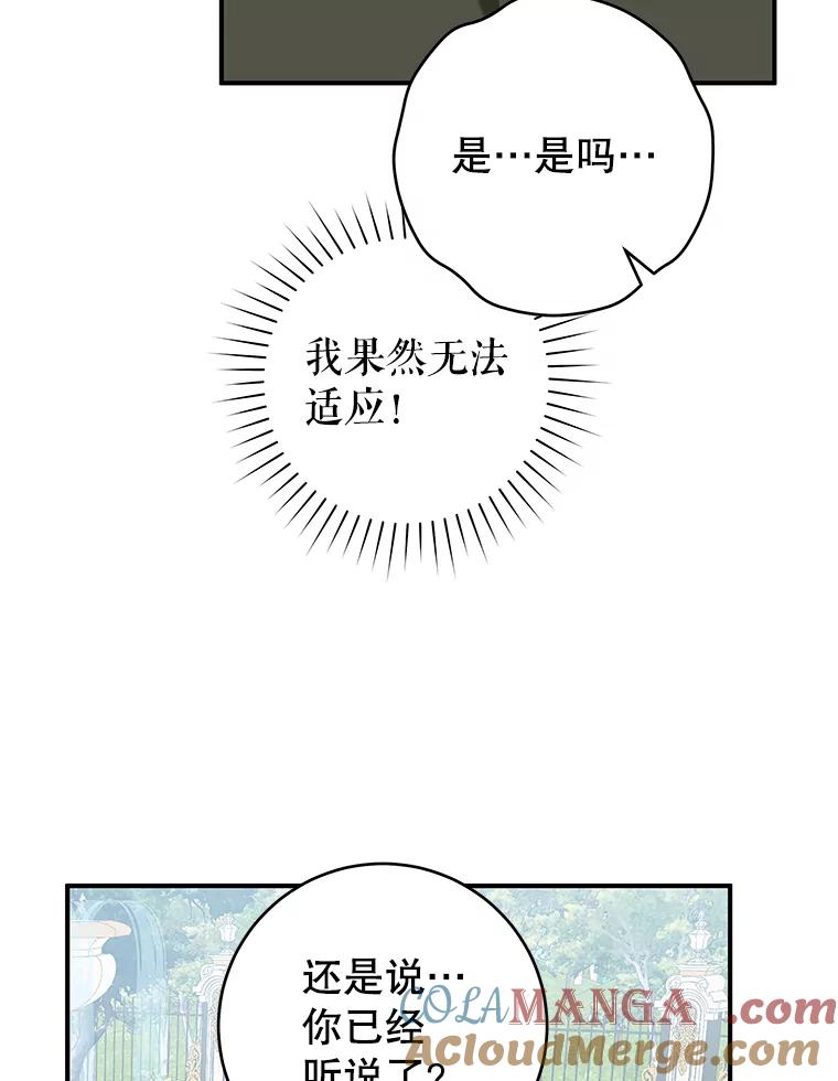81.jpg