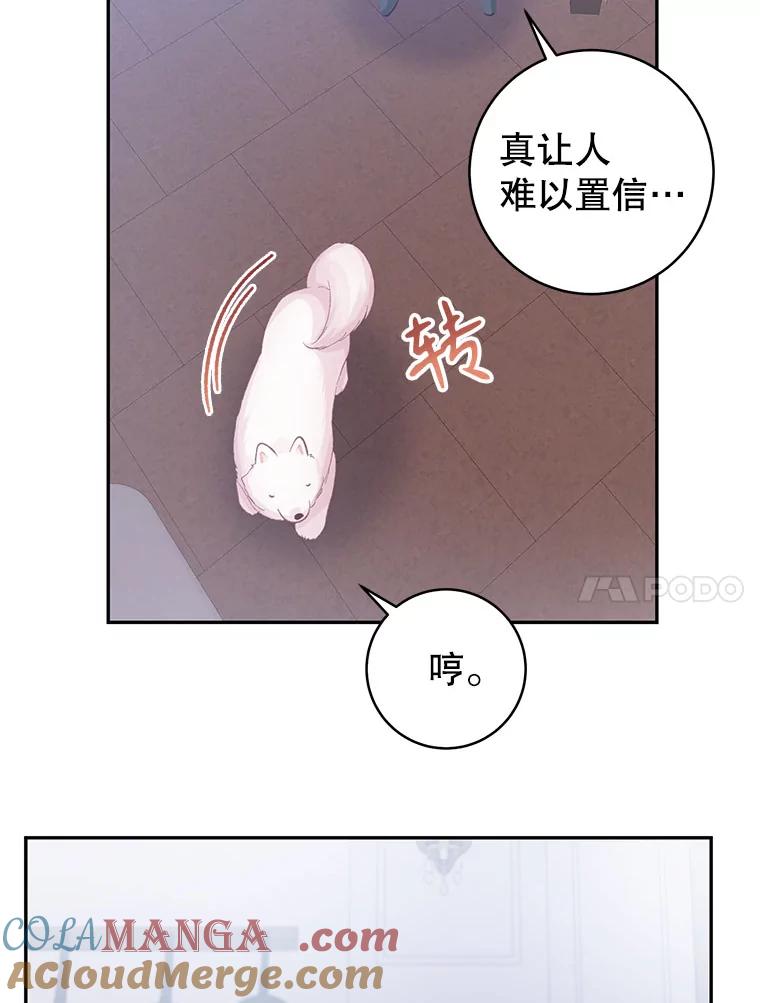 81.jpg
