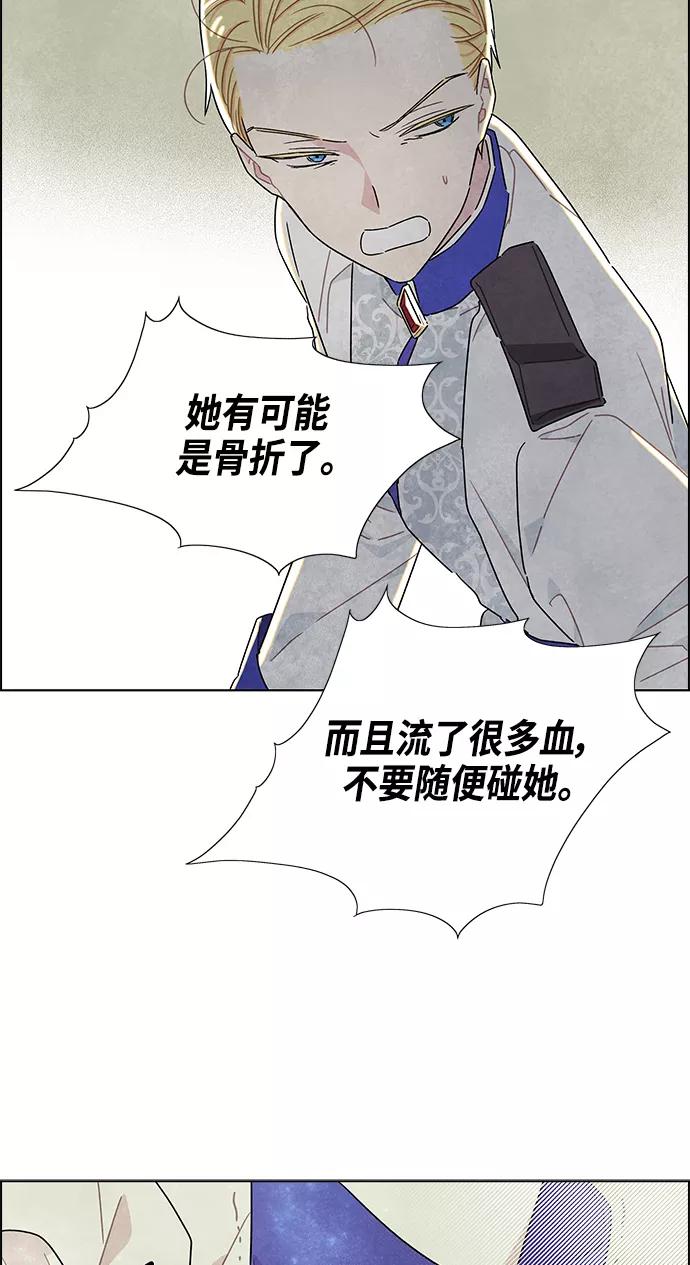 48.jpg