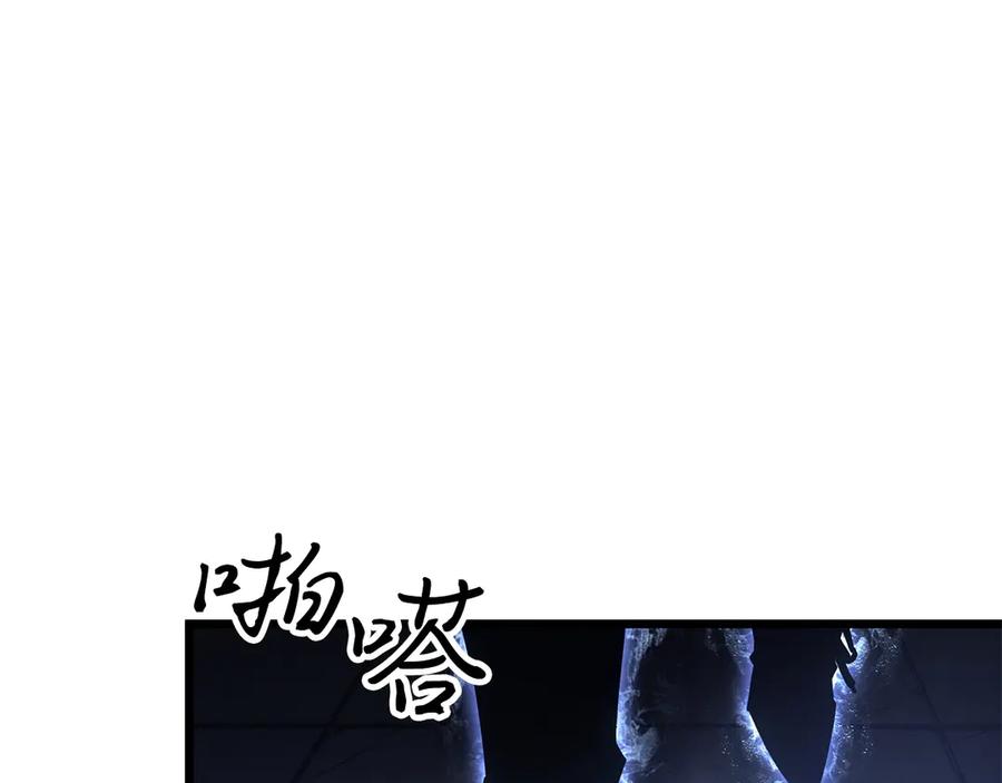 243.jpg