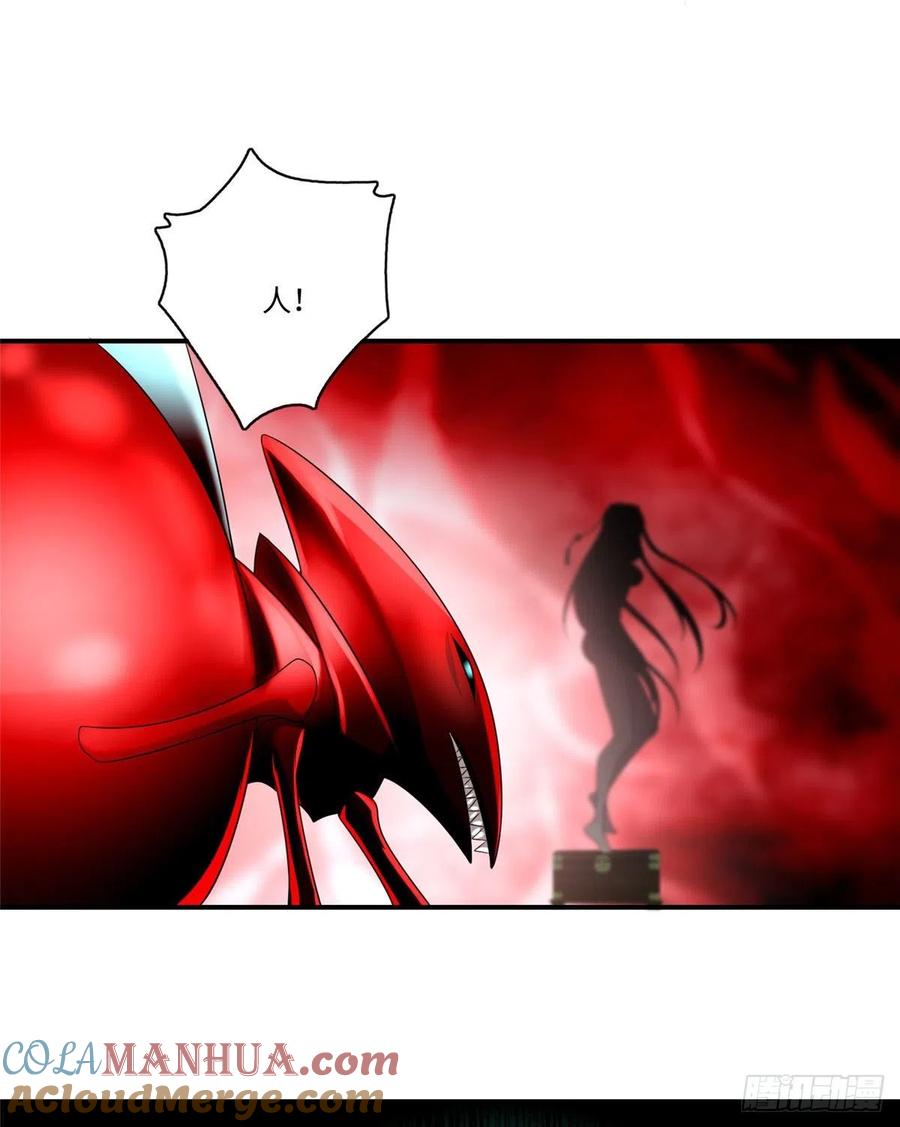 41.jpg