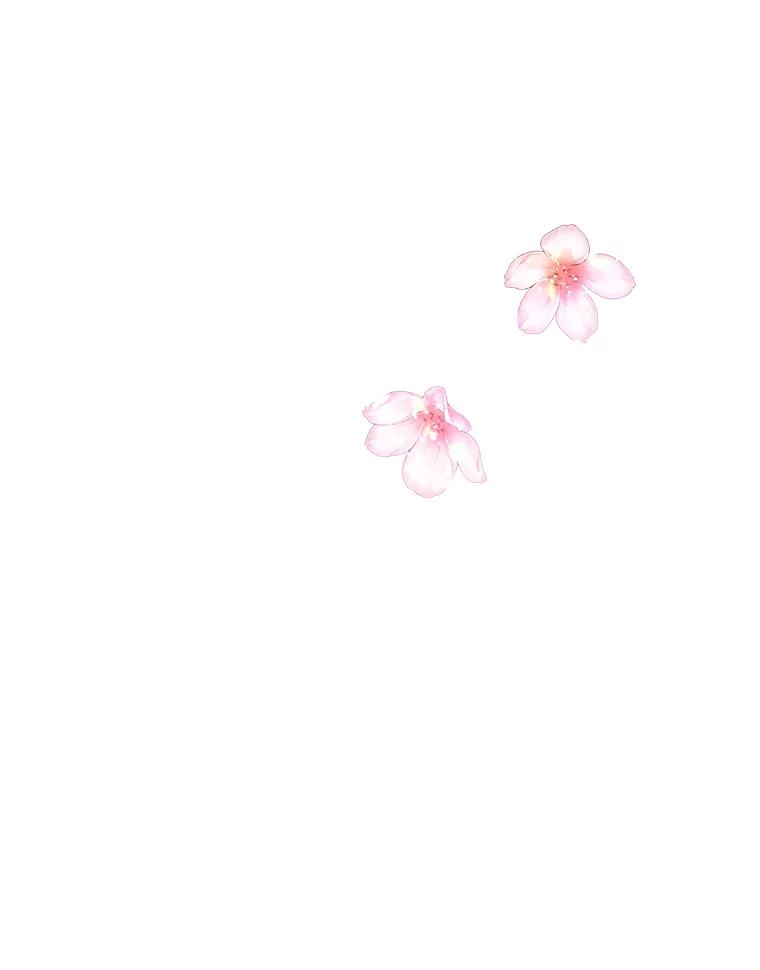 115.jpg
