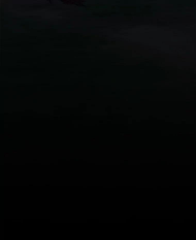 146.jpg