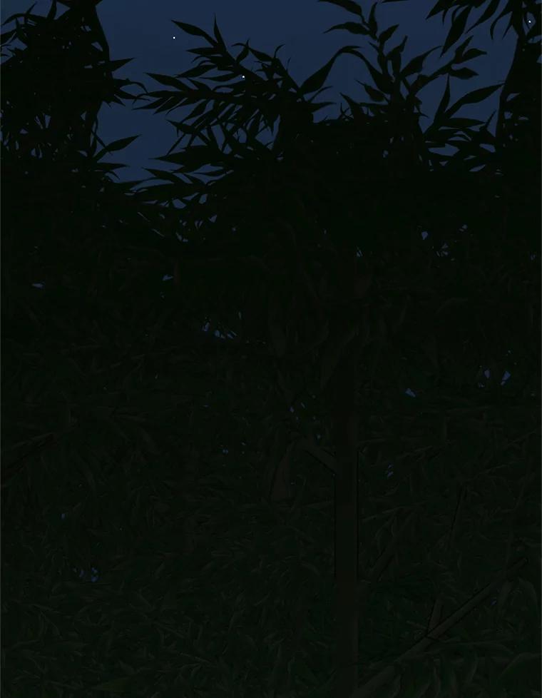 114.jpg