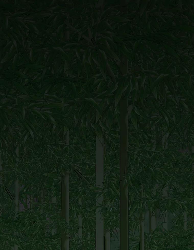 115.jpg