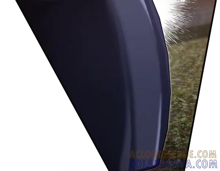 173.jpg