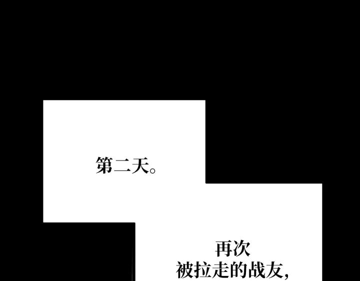 195.jpg