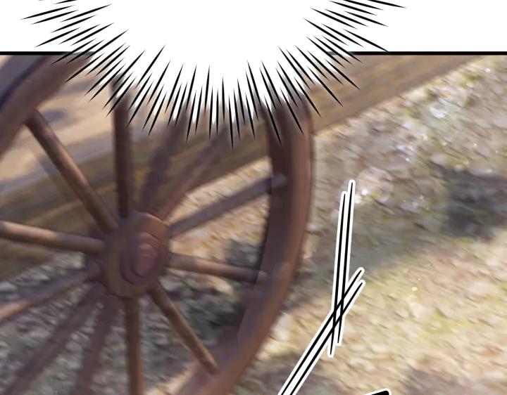 175.jpg