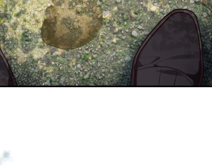 211.jpg