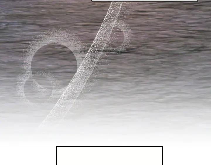 164.jpg