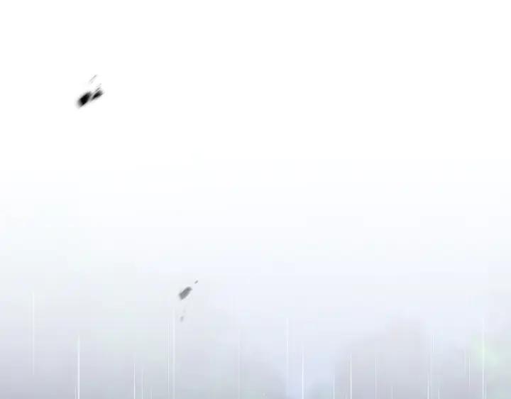 219.jpg