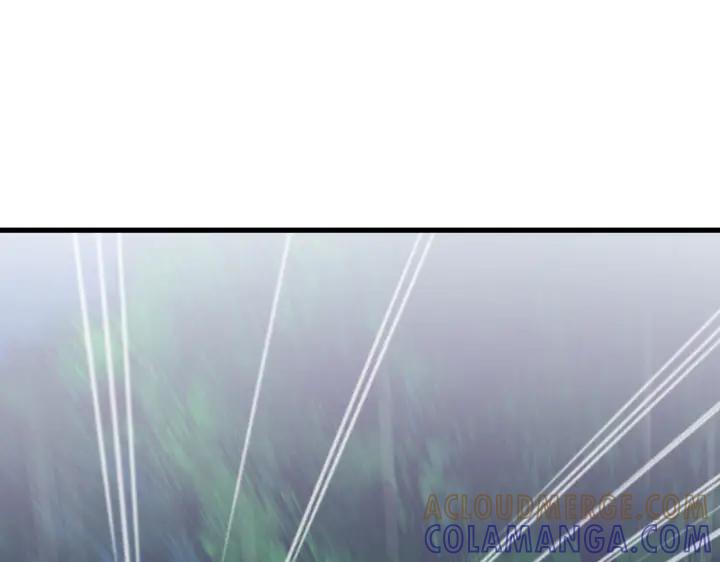 113.jpg