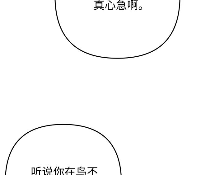 136.jpg