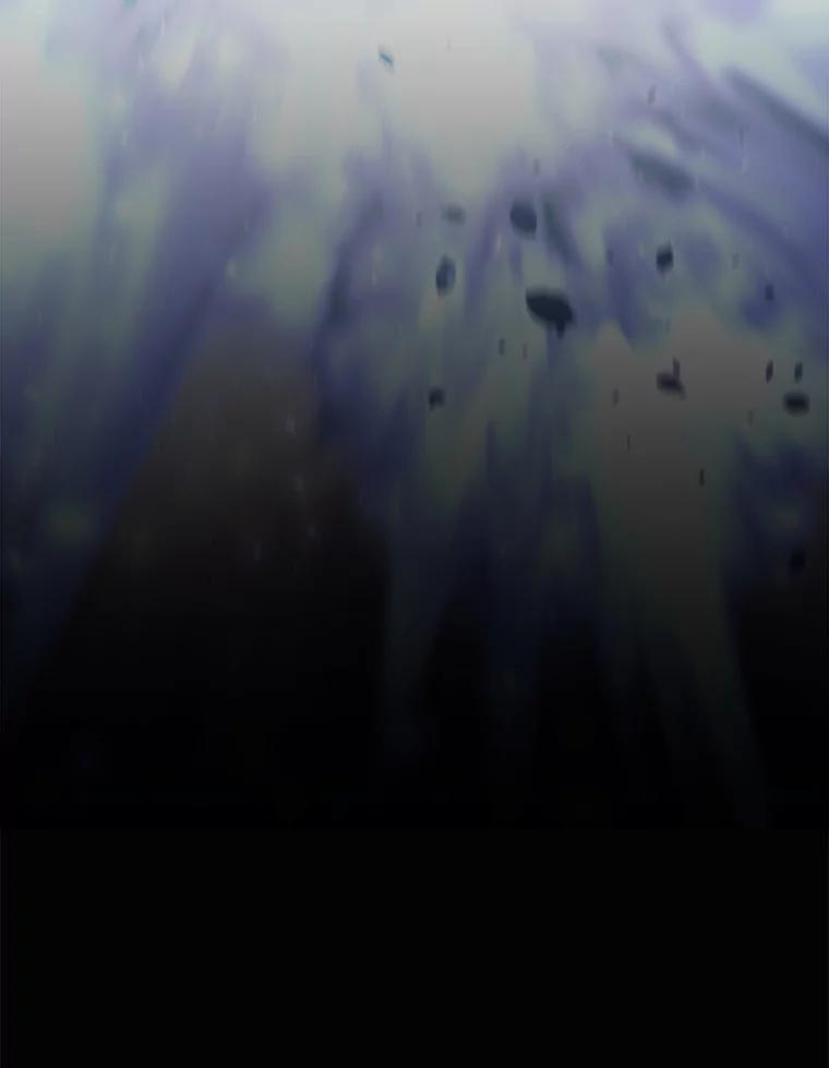75.jpg