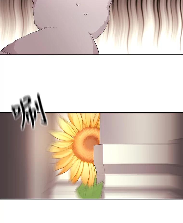 50.jpg