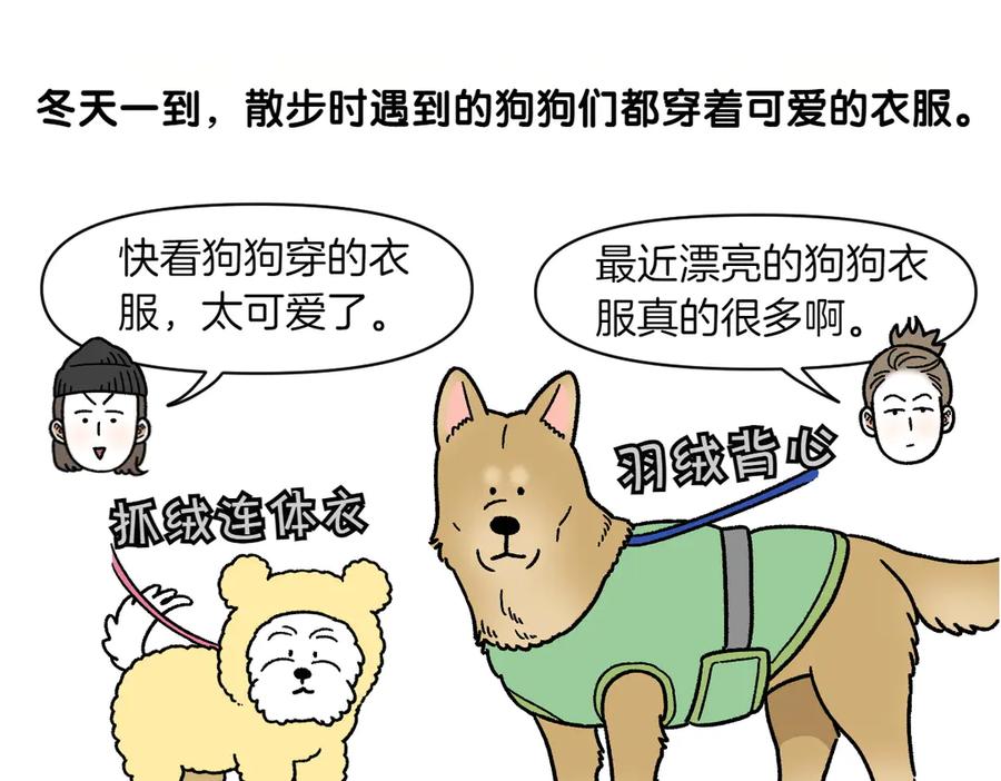 第45话棉花的冬季散步look-我的狗子叫棉花-milo+Polarfox（第4张）