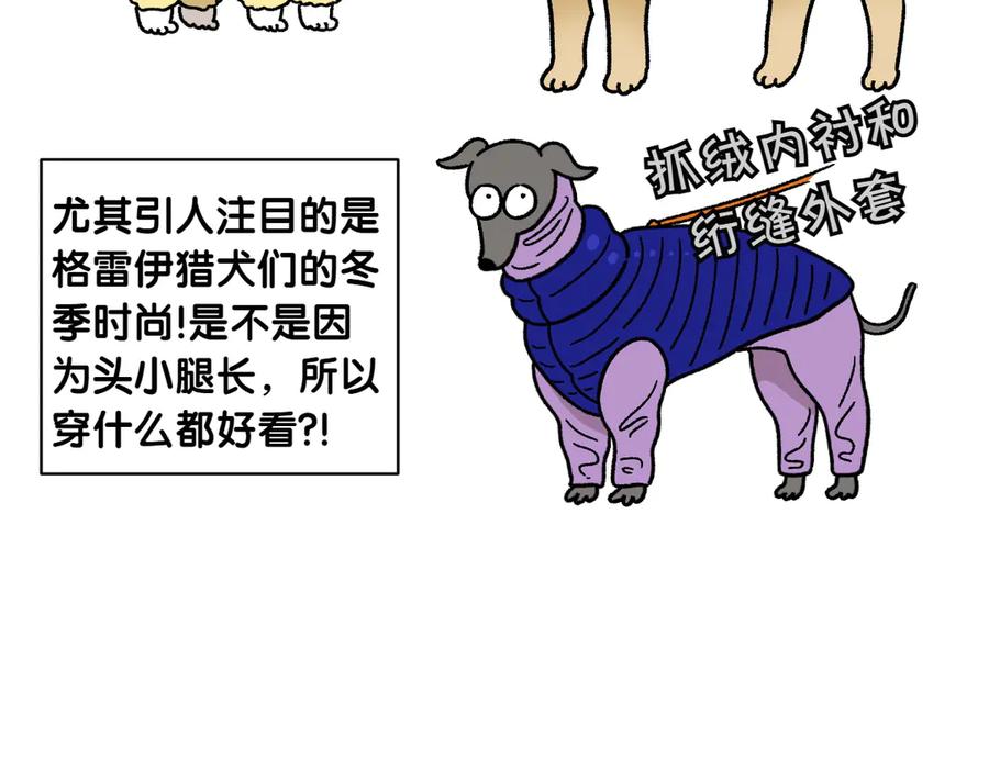 第45话棉花的冬季散步look-我的狗子叫棉花-milo+Polarfox（第5张）