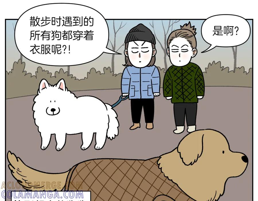 第45话棉花的冬季散步look-我的狗子叫棉花-milo+Polarfox（第6张）