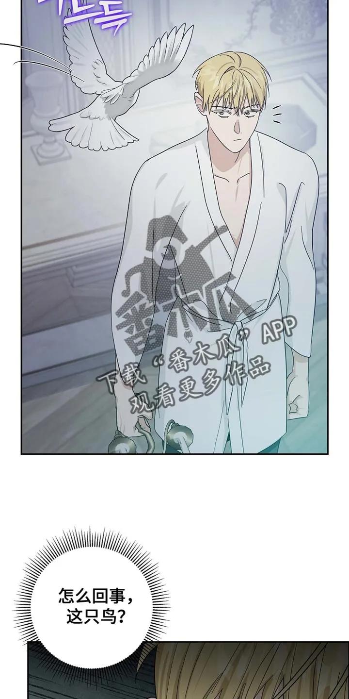 第132章：【第三季】我马上就去救你-姻缘天注定-ROAMM（第1张）