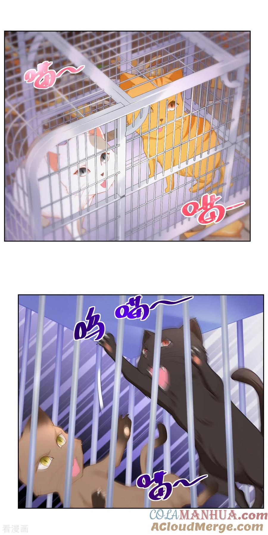 第3话两只猫-想成为废柴的公爵小姐-大行道（第11张）