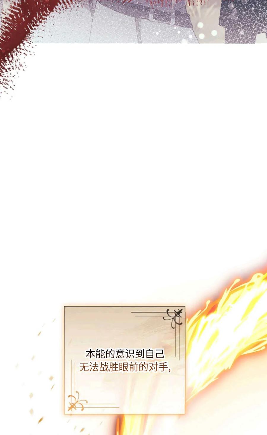 96.jpg