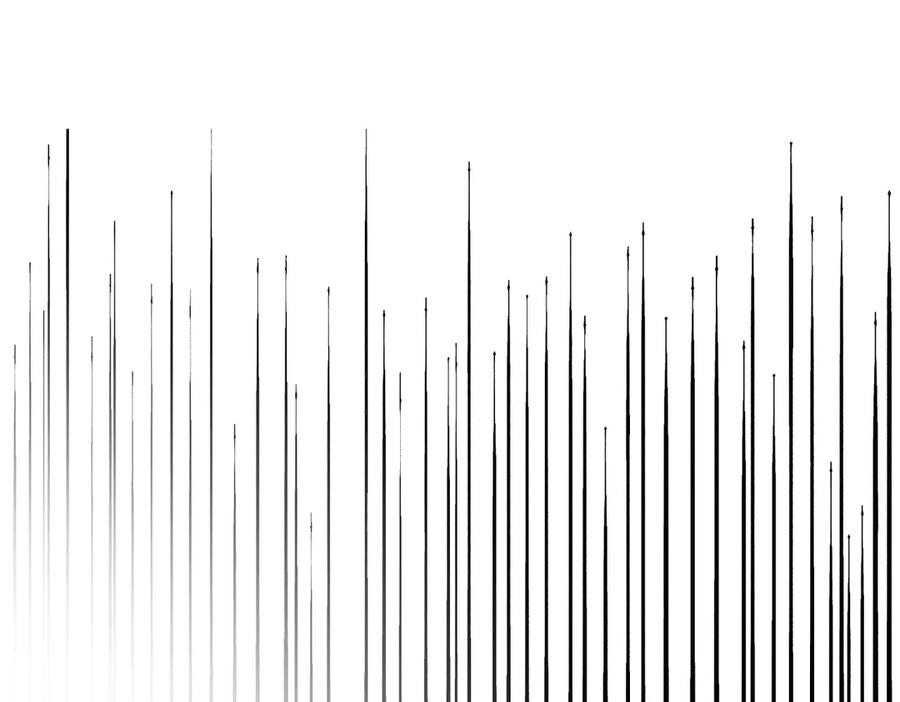 171.jpg