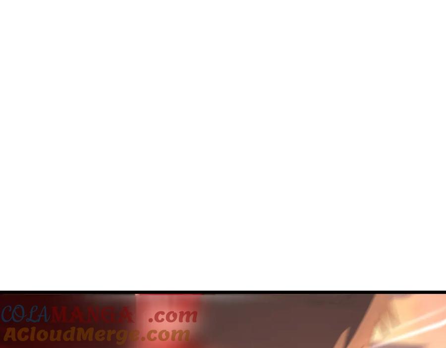 233.jpg