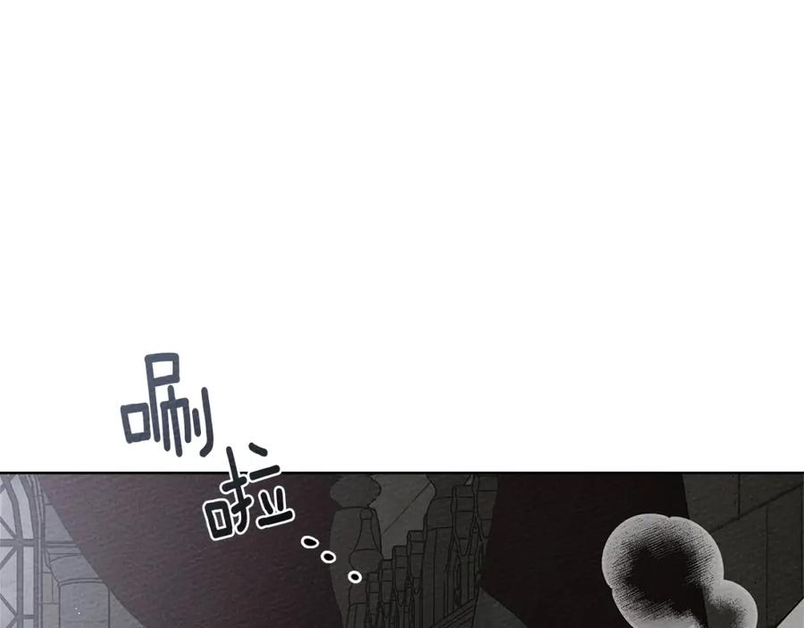 244.jpg