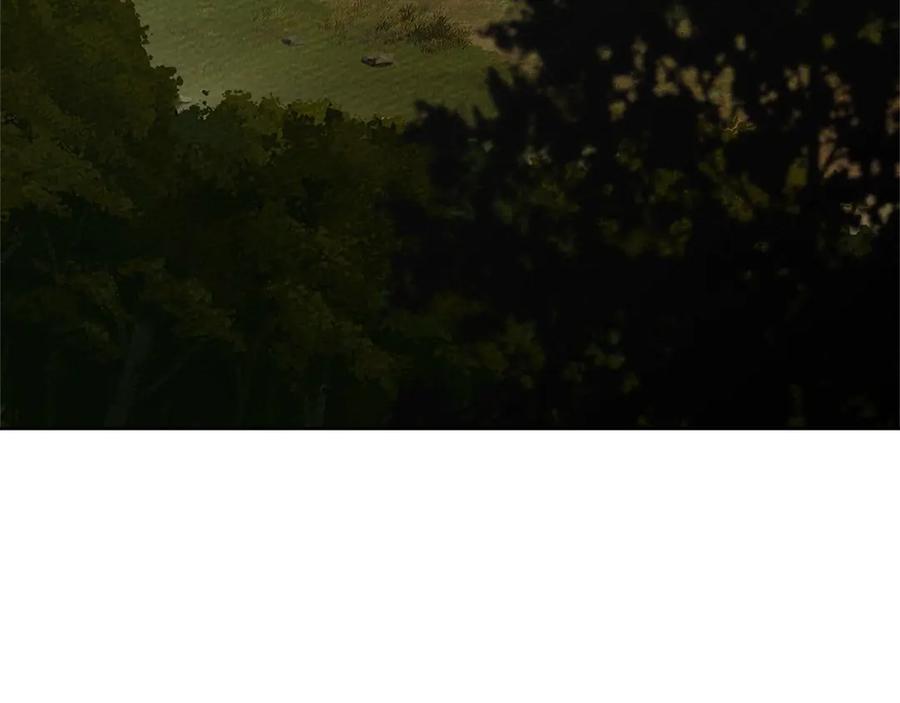146.jpg