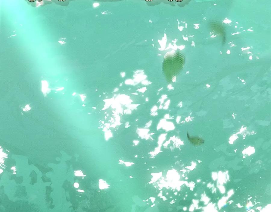 236.jpg