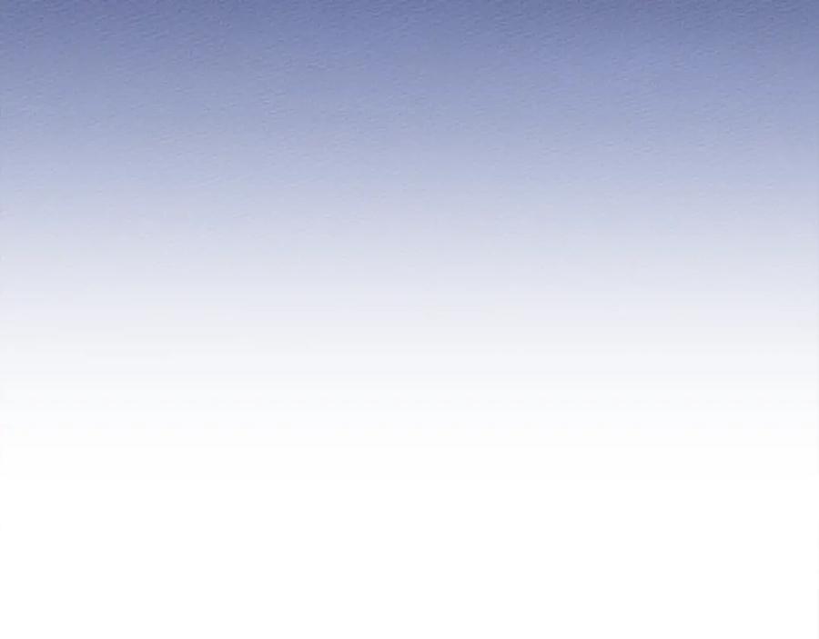 238.jpg