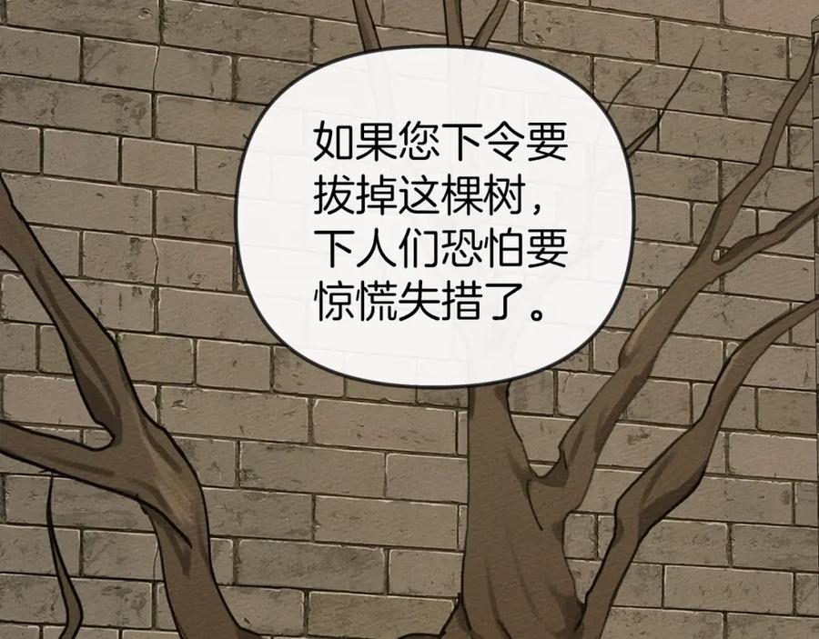 98.jpg