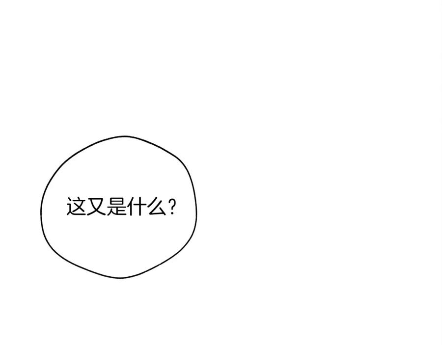 237.jpg