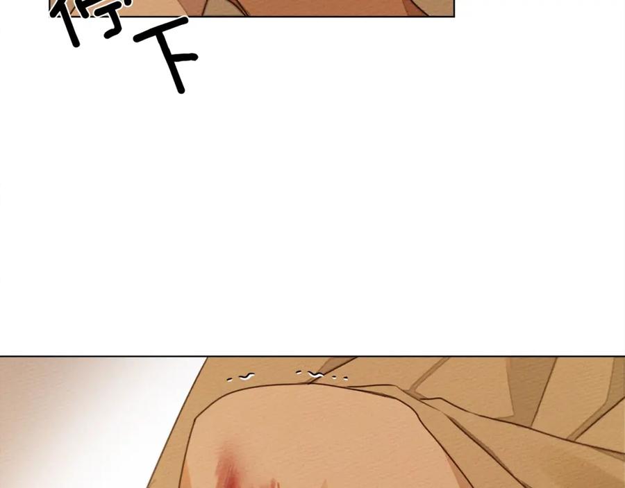 95.jpg
