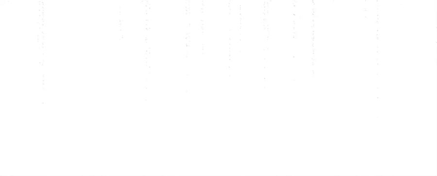 80.jpg
