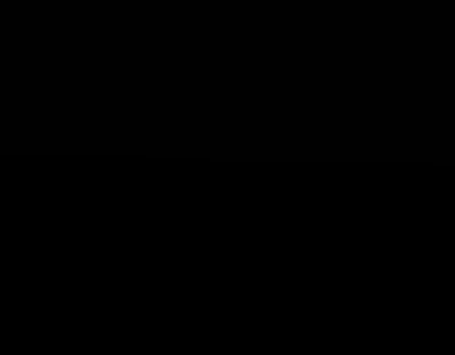 142.jpg