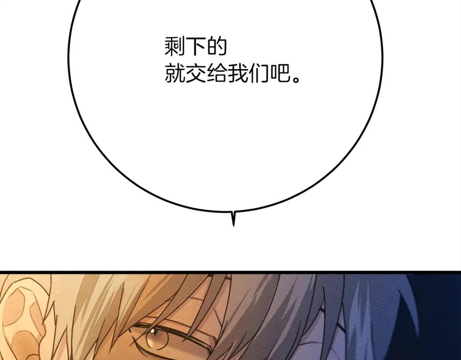 255.jpg
