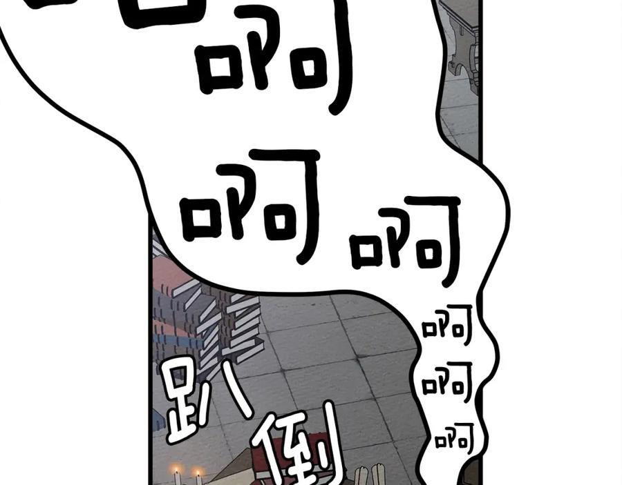 254.jpg