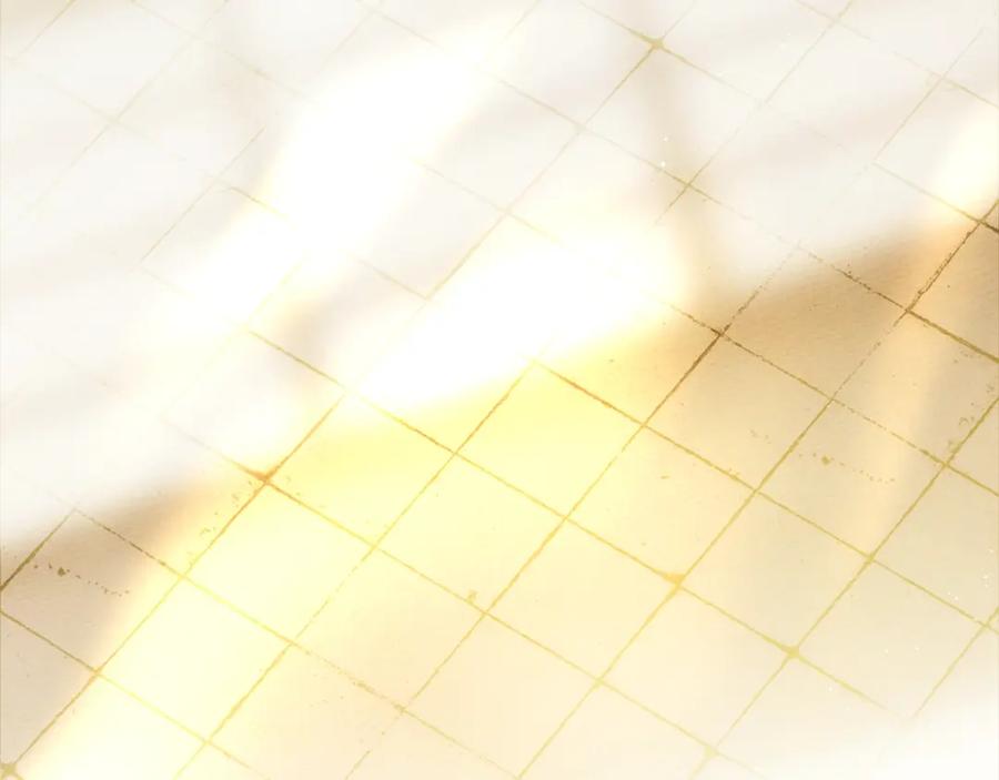 257.jpg