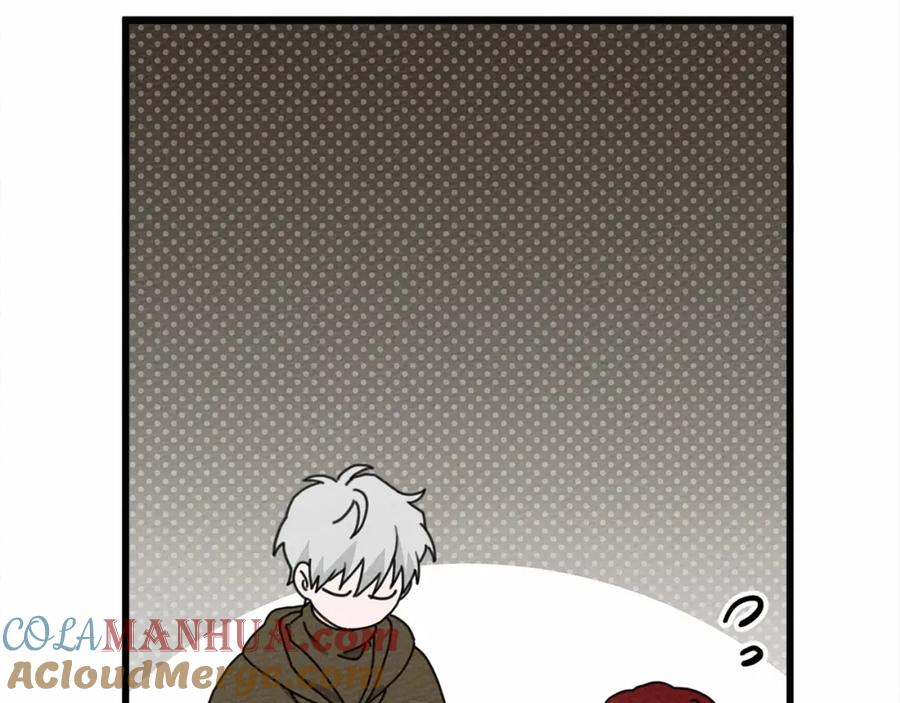 233.jpg